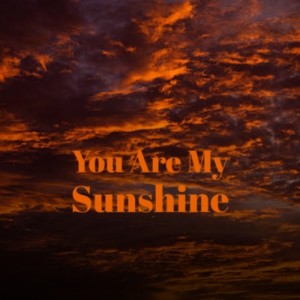 Listen to You Are My Sunshine song with lyrics from Duane Eddy