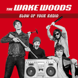 ดาวน์โหลดและฟังเพลง Mad Dogs on Fire พร้อมเนื้อเพลงจาก The Wake Woods