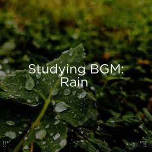 Album !!" Studying BGM: Rain "!! oleh Rain Sounds