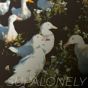 ดาวน์โหลดและฟังเพลง Supalonely (Explicit) พร้อมเนื้อเพลงจาก Vibe2Vibe