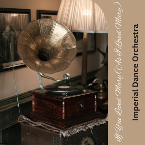 Imperial Dance Orchestra的專輯If You Loved Mary (As I Loved Mary)
