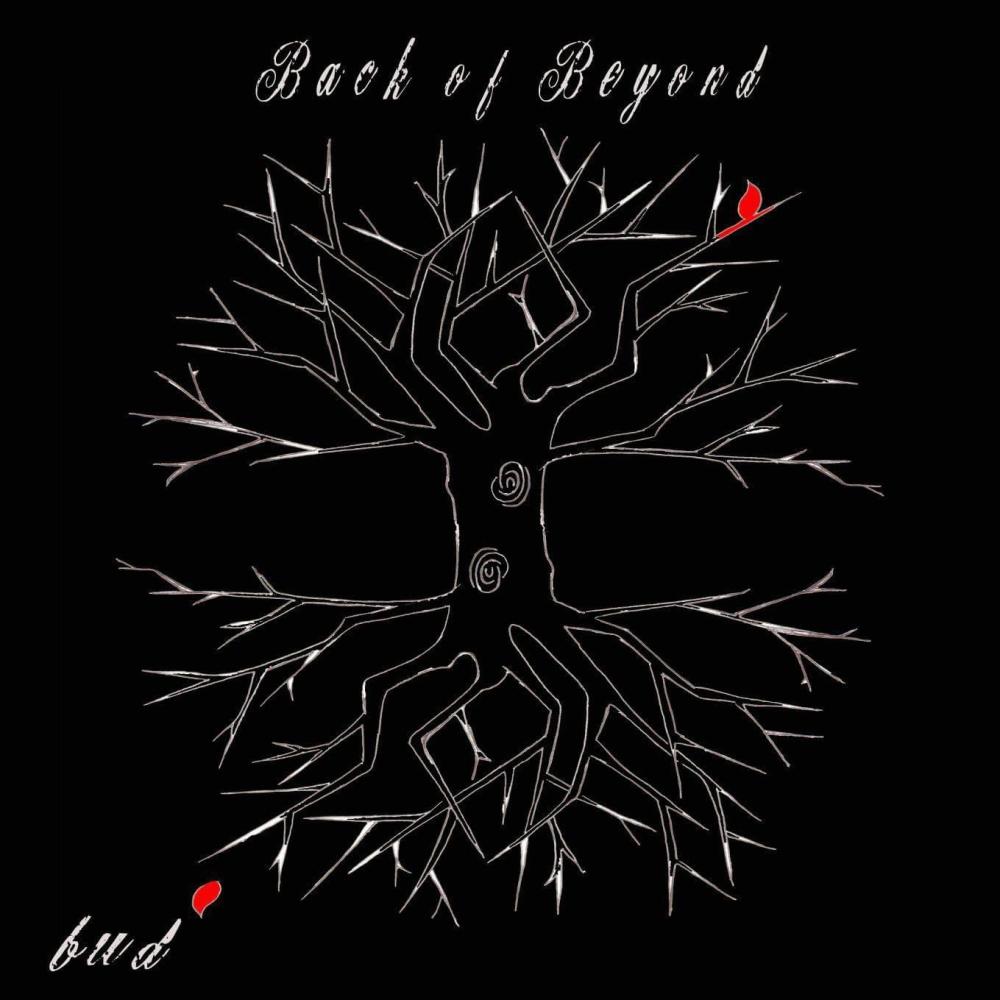 Back of Beyond-Without control