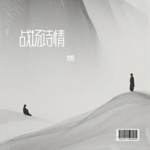 MC梦柯的专辑战场诗情