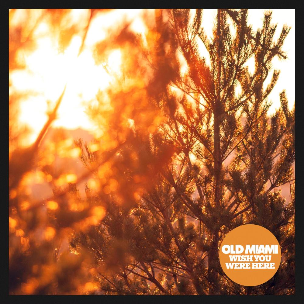 Wish You Were Here (feat. Kel) (Tenn Remix)