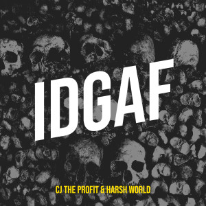 Album Don't Give (Explicit) from CJ The Profit