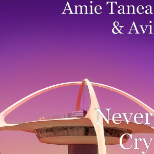 Dengarkan Never Cry lagu dari Amie Tanea dengan lirik