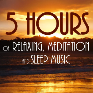 ดาวน์โหลดและฟังเพลง 1 Hour Meditation Music for Calming and Soothing พร้อมเนื้อเพลงจาก Calming Music and Soothing Music Masters