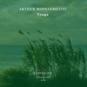 Arthur Minnahmetov的專輯Venga