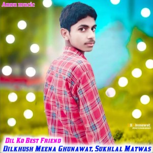 ดาวน์โหลดและฟังเพลง Dil Ko Best Friend พร้อมเนื้อเพลงจาก Dilkhush Meena Ghunawat