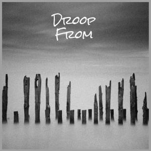 Album Droop From from Various