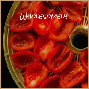 Various的专辑Wholesomely