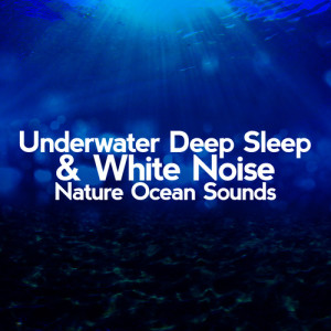 收聽Underwater Deep Sleep White Noise Nature Ocean Sounds的Calm Beach Close to Water歌詞歌曲