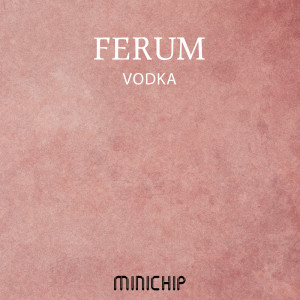 收聽Ferum的Vodka歌詞歌曲