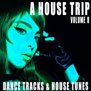 Various Artists的專輯A House Trip, Volume 9