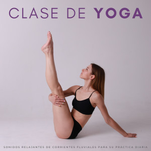 Album Clase De Yoga: Sonidos Relajantes De Corrientes Fluviales Para Su Práctica Diaria oleh Musica pilates