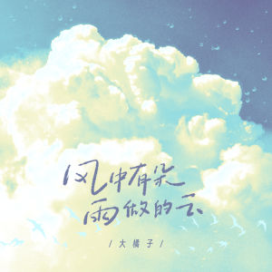 Listen to 风中有朵雨做的云 song with lyrics from 大橘子