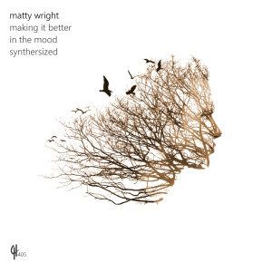 Listen to Synthersized song with lyrics from Matty Wright