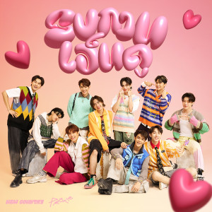 ดาวน์โหลดและฟังเพลง รบกวนเอ็นดู (Special Version) พร้อมเนื้อเพลงจาก New Country นิวคันทรี่