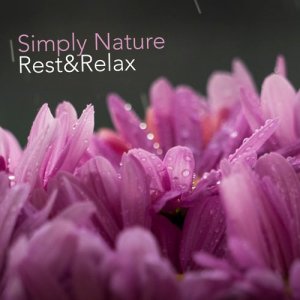 อัลบัม Simply Nature: Relax & Rest ศิลปิน Ambiance Nature