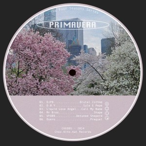 Album Shape from mr bios