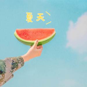 Album 夏天 from 钢盔小公主