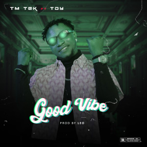 Listen to Good Vibe (Explicit) song with lyrics from Tm tek