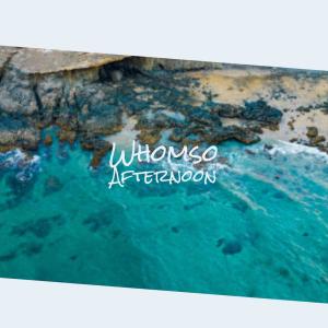 Album Whomso Afternoon from Various Artists