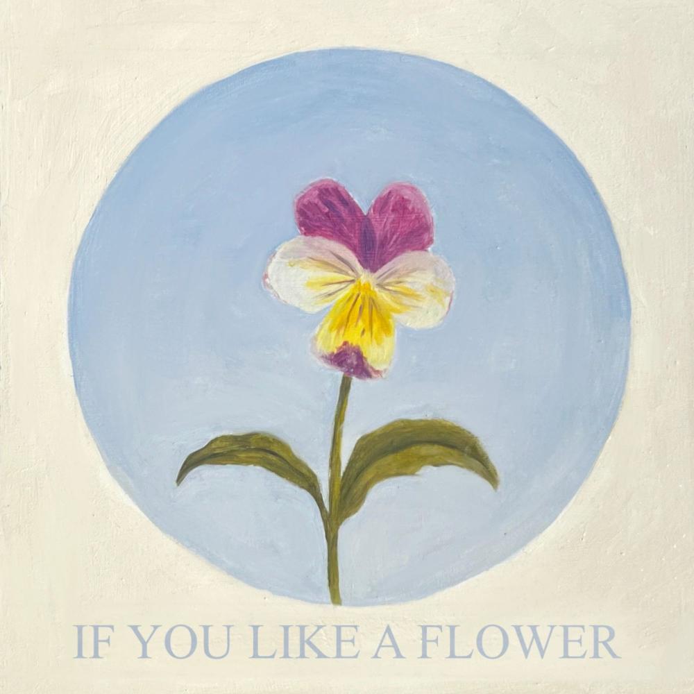 If You Like A Flower