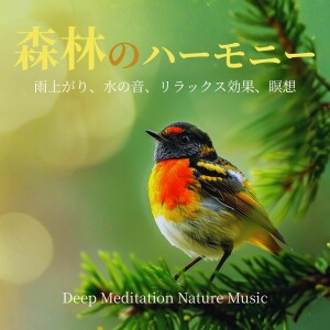 Album Deep Meditation Nature Music - Forest Harmony with Water Sounds for Relaxation and Meditation oleh 寝落ちする自然音ヒーリング音楽