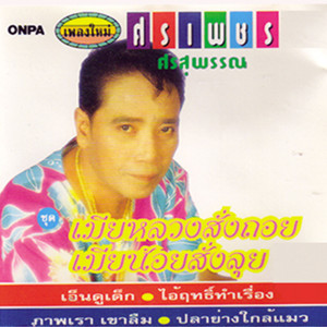 ดาวน์โหลดและฟังเพลง หนุ่มสุพรรณ สาวจันทบุรี พร้อมเนื้อเพลงจาก ศรเพชร ศรสุพรรณ