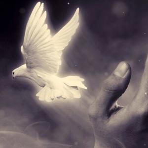 收聽Call Me T的A Reason Why歌詞歌曲