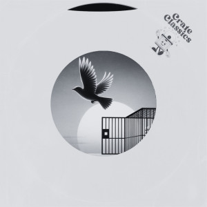 อัลบัม Born to be Free (Ozone Remix) ศิลปิน Crate classics