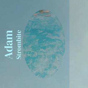 Album Adam Strombite from Various