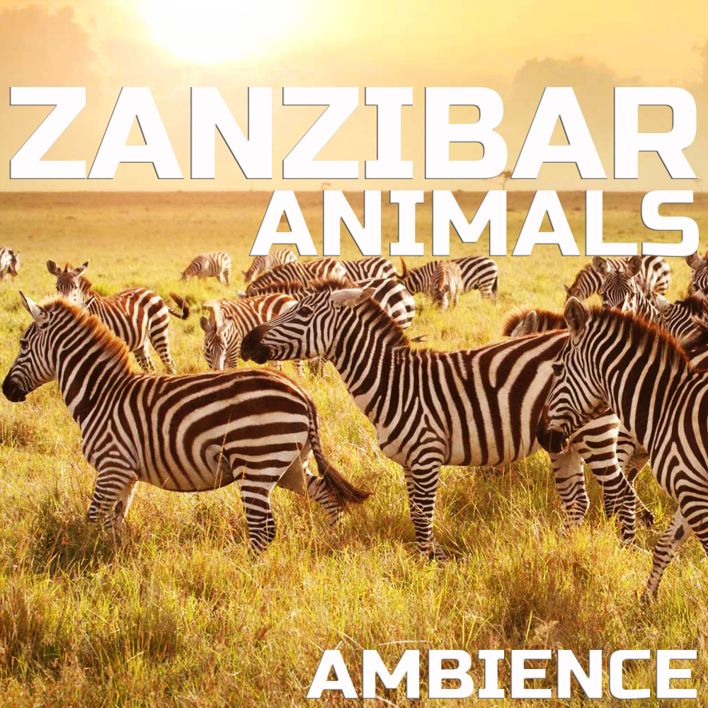 Zanzibar Jiraffe Sounds