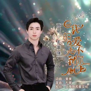 Album 我的爱走不到你心上（男声版） from 