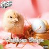 default album img