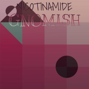 Various Artists的專輯Nicotinamide Gnomish