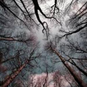 收聽virtueall的blame (down) (Explicit)歌詞歌曲