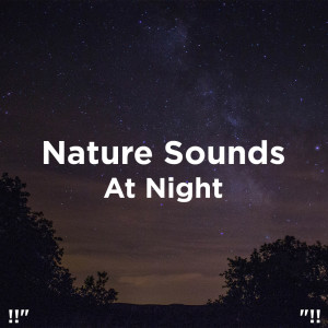Dengarkan Rain Music lagu dari Nature Sounds dengan lirik