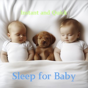 Album Baby Sleep Music: Quick and Effective Lullabies from Instant And Quick Sleep for Baby