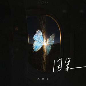收听苏星婕的因果歌词歌曲