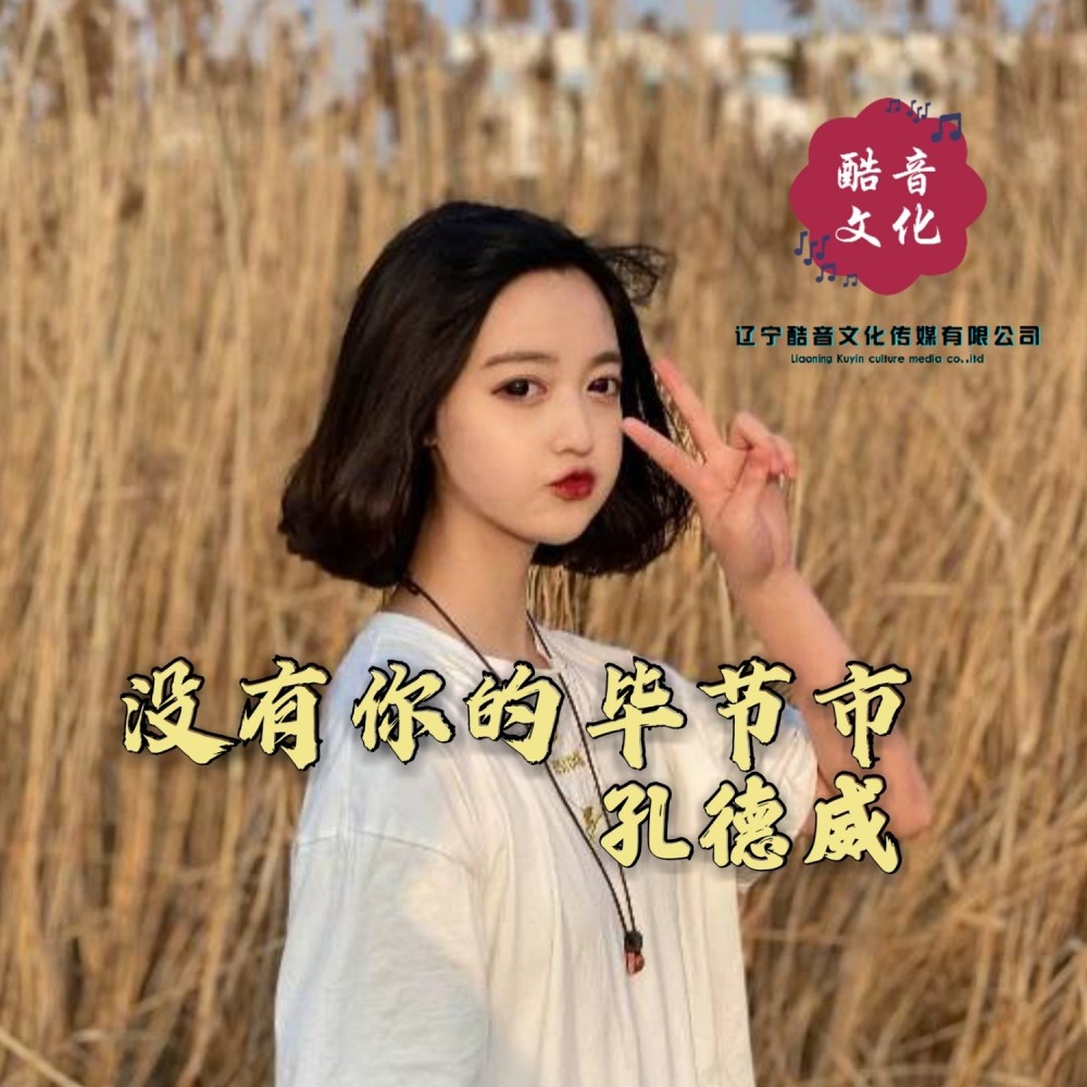 没有你的毕节市