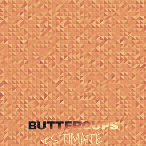 Listen to Your Development song with lyrics from Natou Flan