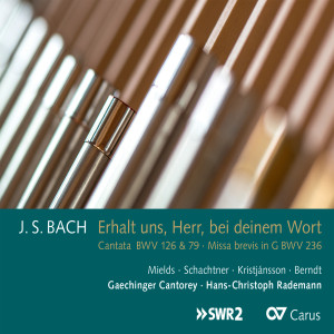 Gaechinger Cantorey的專輯Johann Sebastian Bach: Erhalt uns, Herr, bei deinem Wort