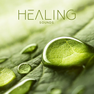 Balanced Yoga Relaxation的专辑Healing Sounds (Relaxing Music for Spa, Massage Therapy, Yoga Balance Meditation, Mindfulness & Sleep Songs)