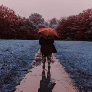 Album catastrophe. from Gleam