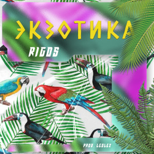 Album Экзотика from 