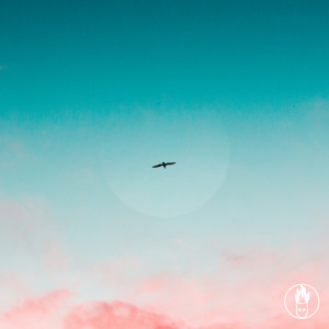 收聽Beatamines的Free (Radio Edit)歌詞歌曲