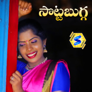Listen to Sotta Bugga song with lyrics from BODANAPU NATRAJ