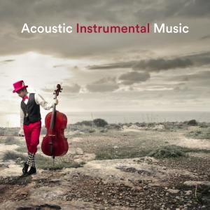 Album Acoustic Instrumental Music oleh Paula Kiete